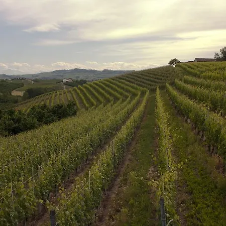 D'autore Alba (Piedmont)